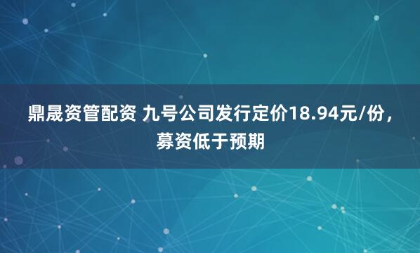 鼎晟资管配资 九号公司发行定价18.94元/份，募资低于预期