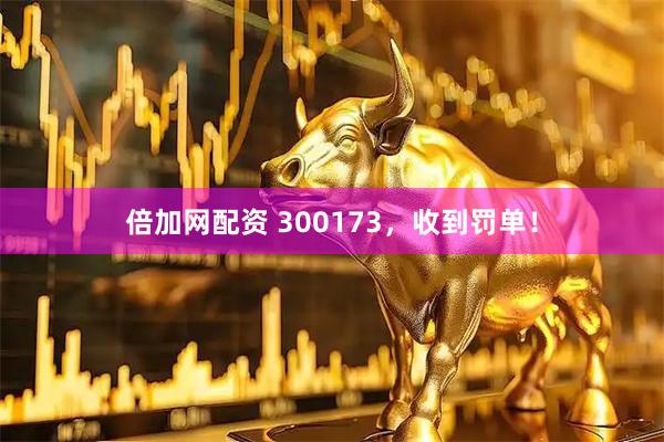 倍加网配资 300173，收到罚单！